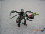 mtvecolitysnow.jpg