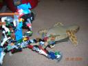 dscn0918.jpg