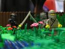 img_5145_800x600.jpg