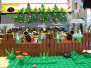 img_5173_800x600.jpg
