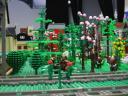 img_5192_800x600.jpg