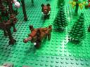 img_5246_800x600.jpg