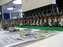 img_5255_800x600.jpg