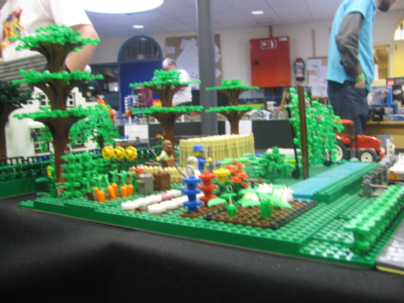 img_6948_800x600.jpg