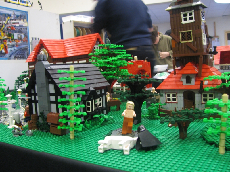 img_6950_800x600.jpg