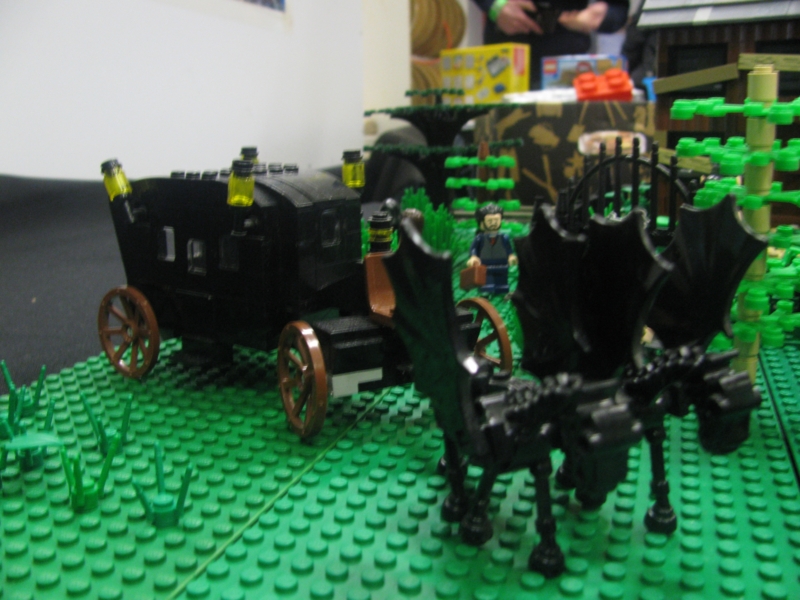 img_6955_800x600.jpg