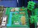 img_6945_800x600.jpg
