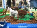 img_6988_800x600.jpg