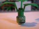 img_1044_800x600.jpg