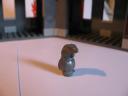 img_1060_800x600.jpg