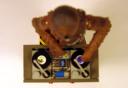 djchewy10.jpg