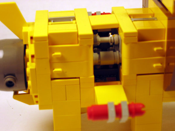 lionstar11.jpg