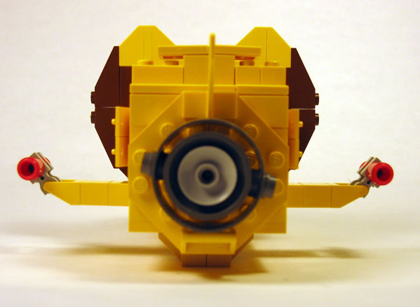 lionstar14.jpg