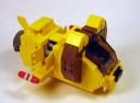 lionstar09.jpg