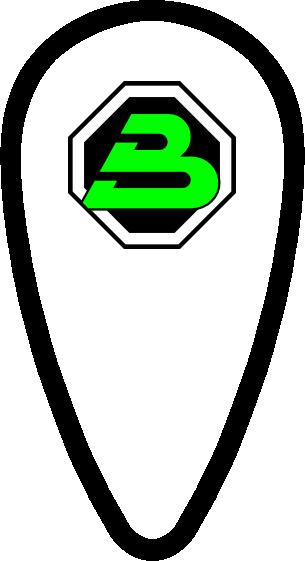 btshield.jpg