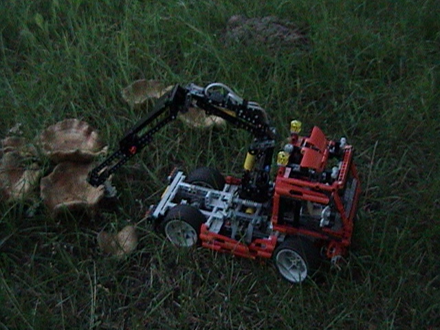 dsc00068.jpg