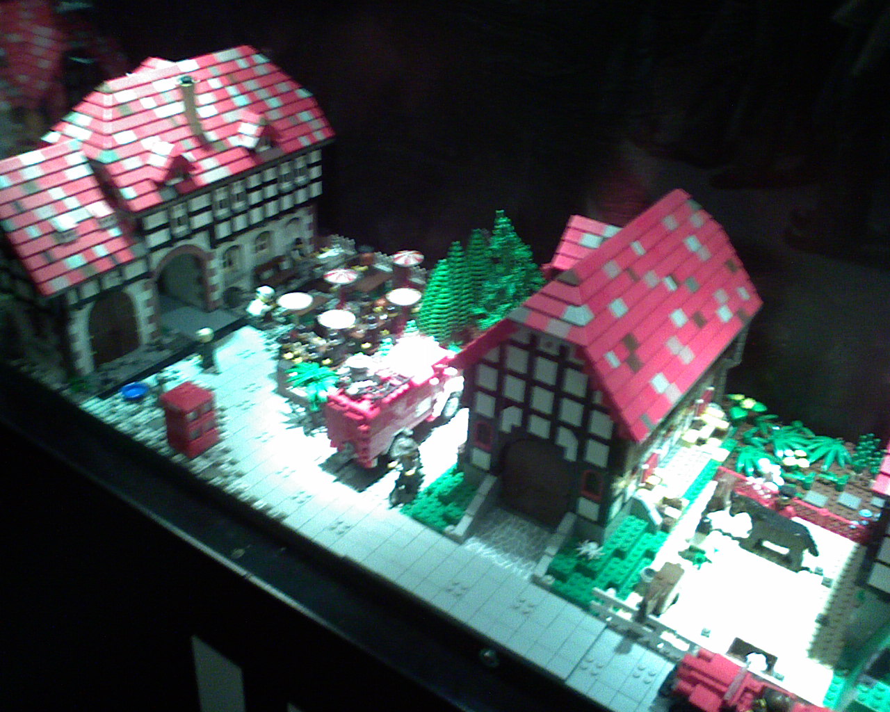dsc00012.jpg