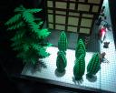 dsc00023.jpg
