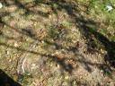 dscn1343.jpg