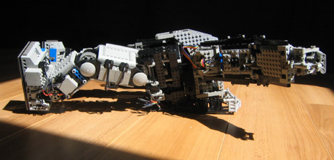 asimo09.jpg