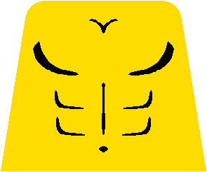 muscletorso2.jpg