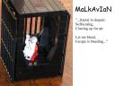 malkavian.jpg