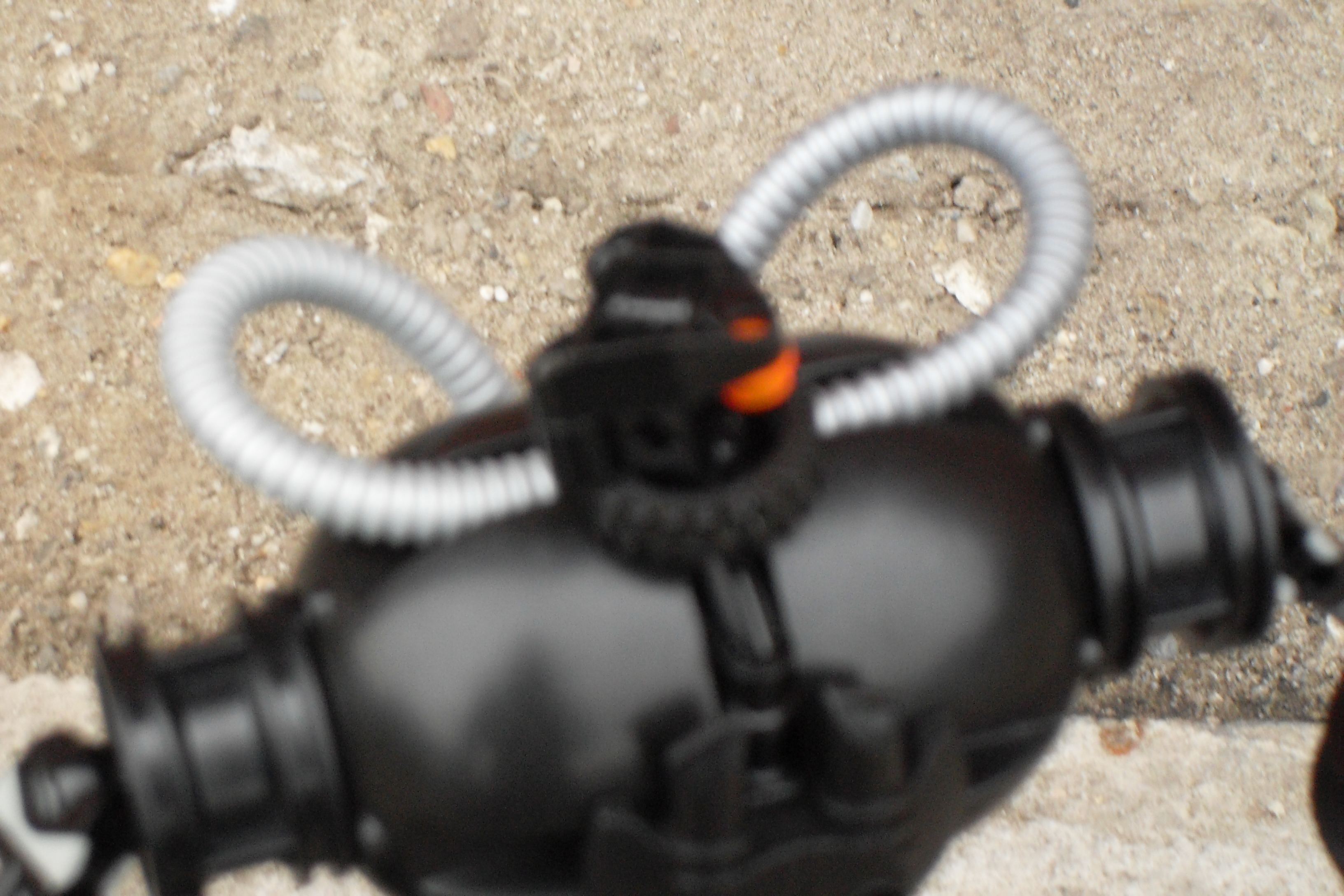 sdc12402.jpg