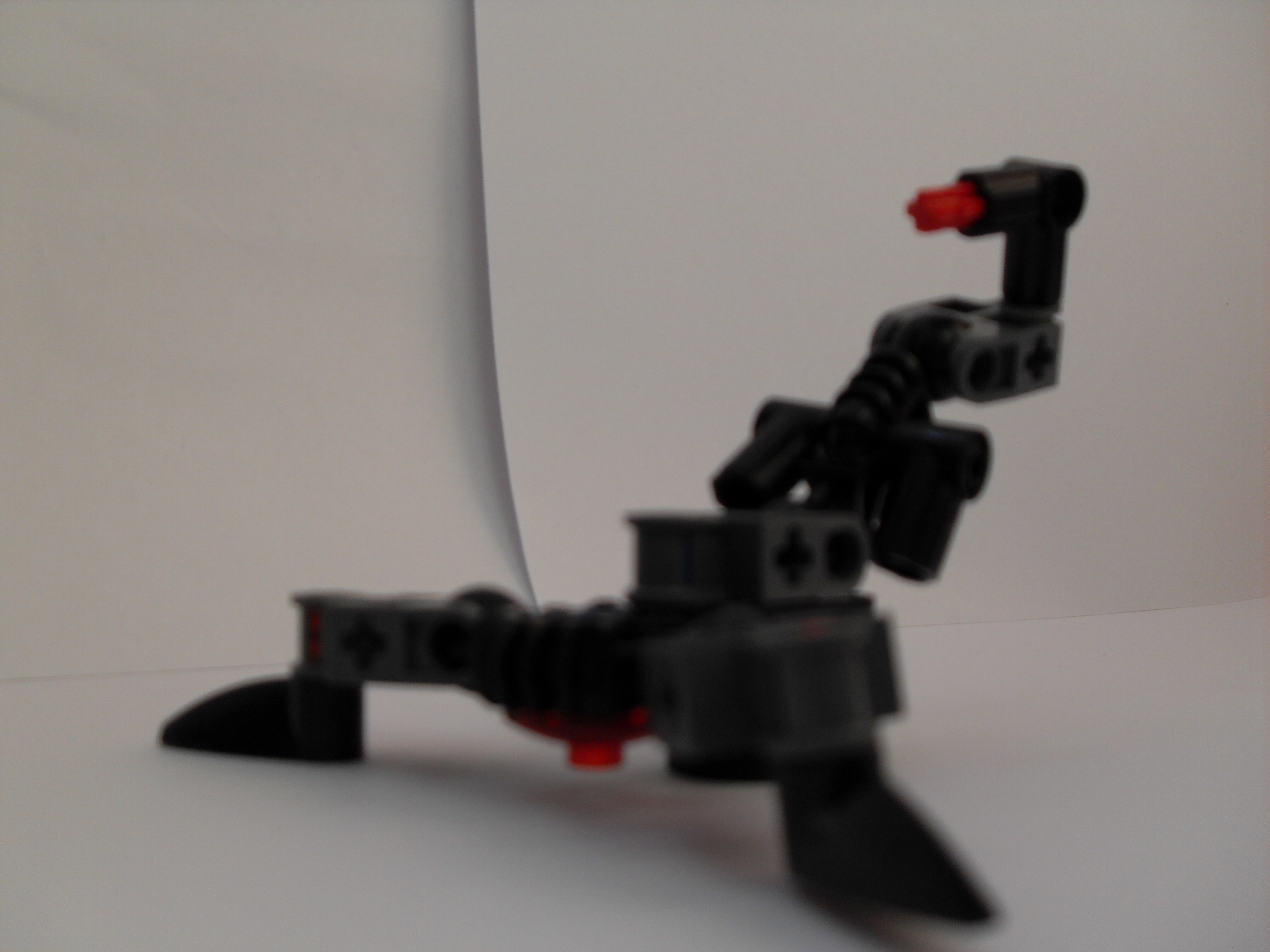 sdc10460.jpg