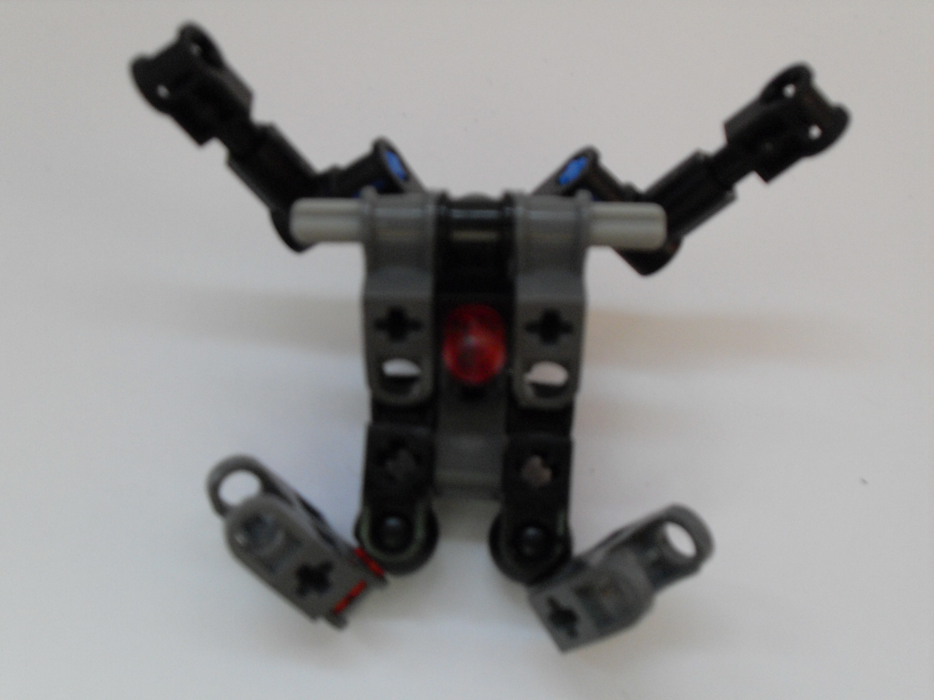 sdc10481.jpg