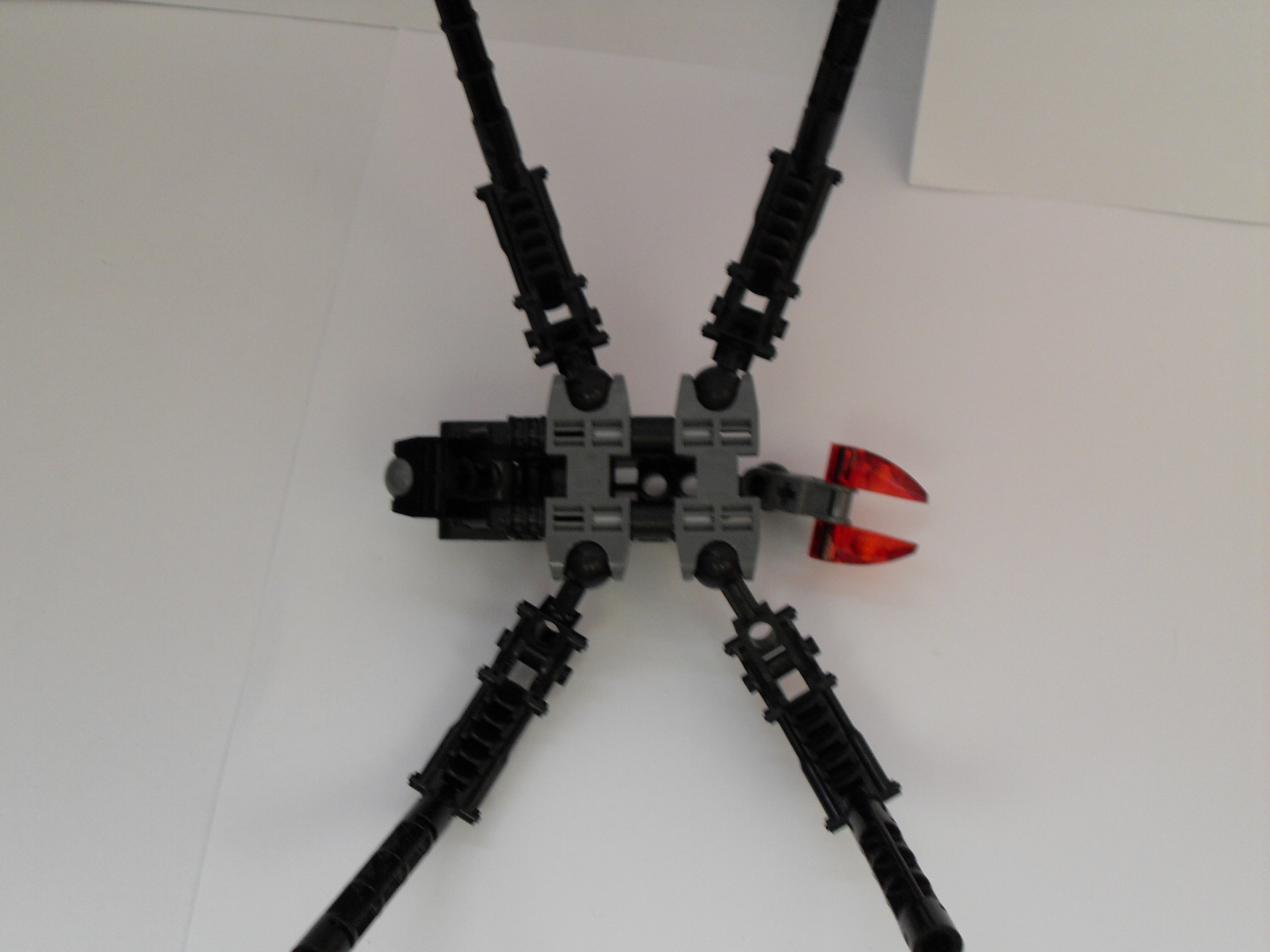 sdc10485.jpg