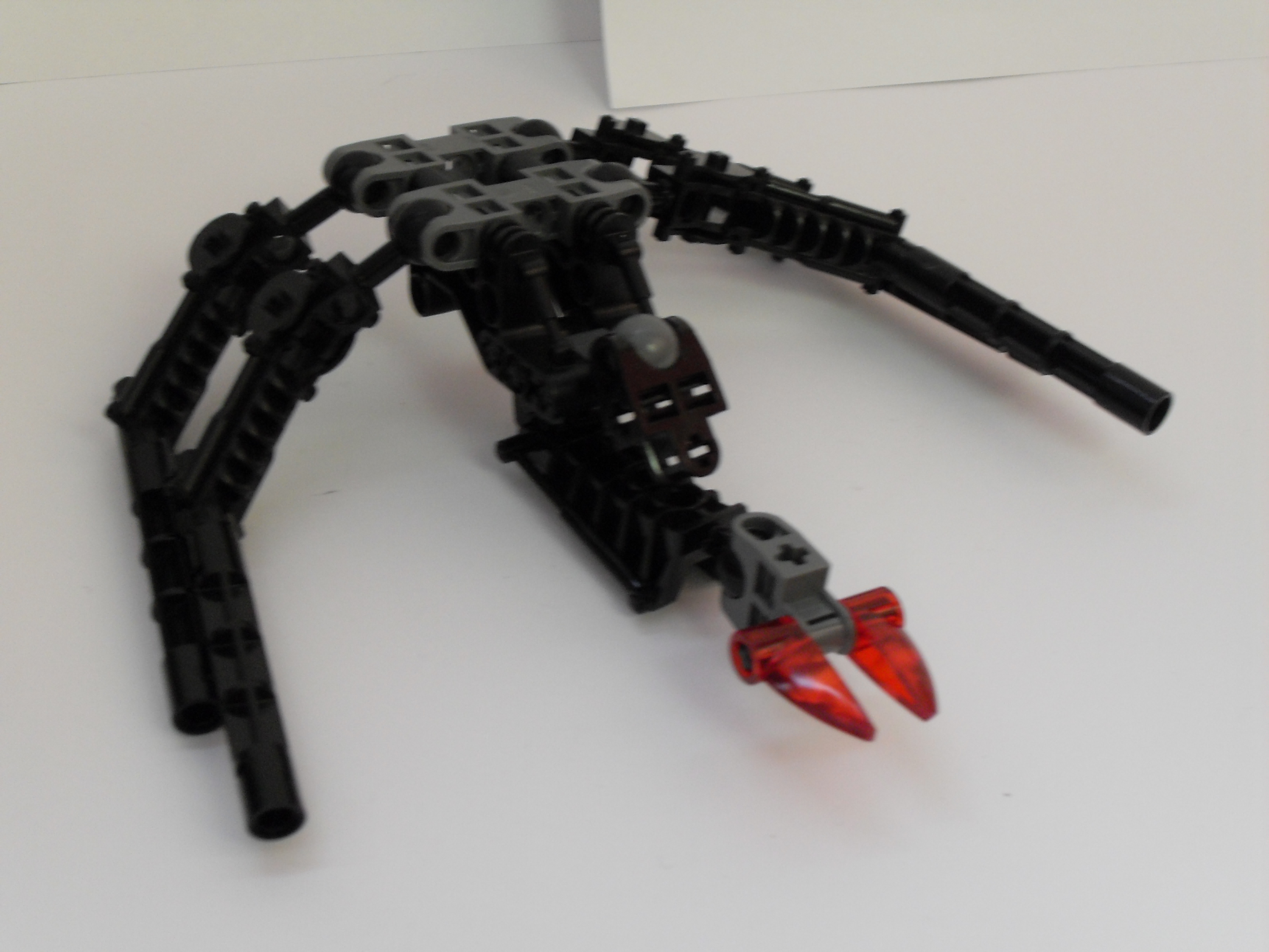 sdc10486.jpg