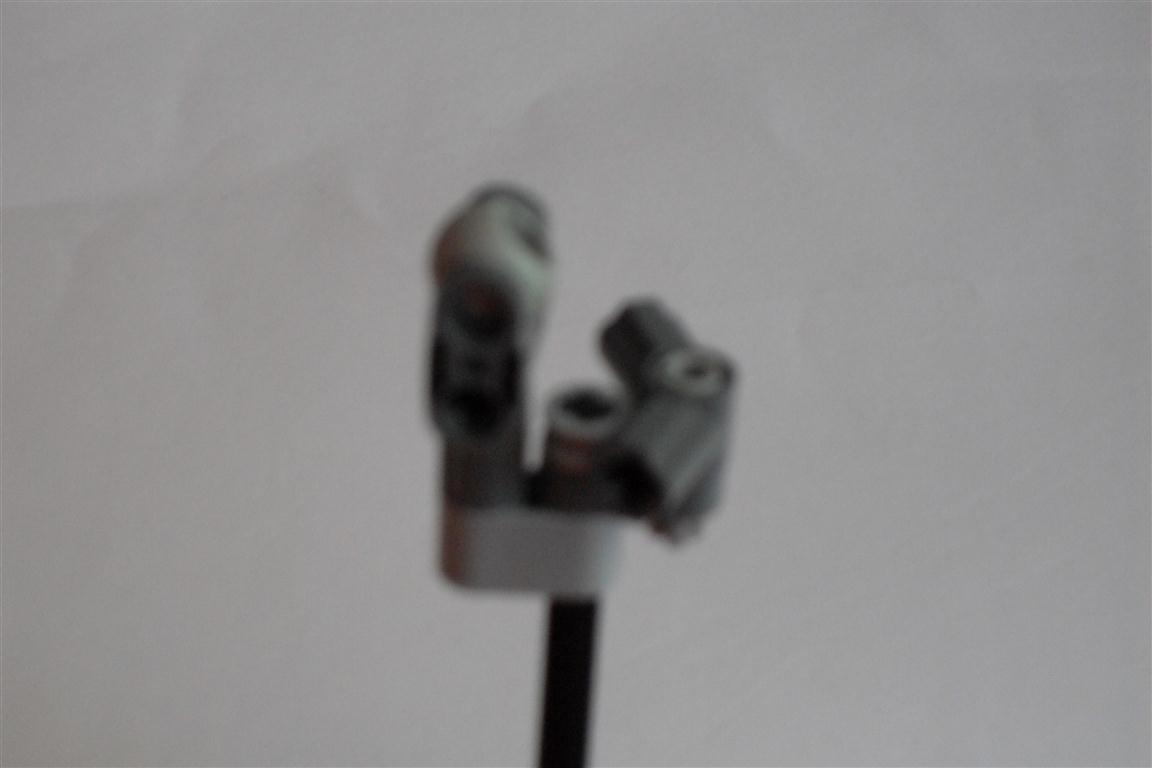 sdc11725.jpg