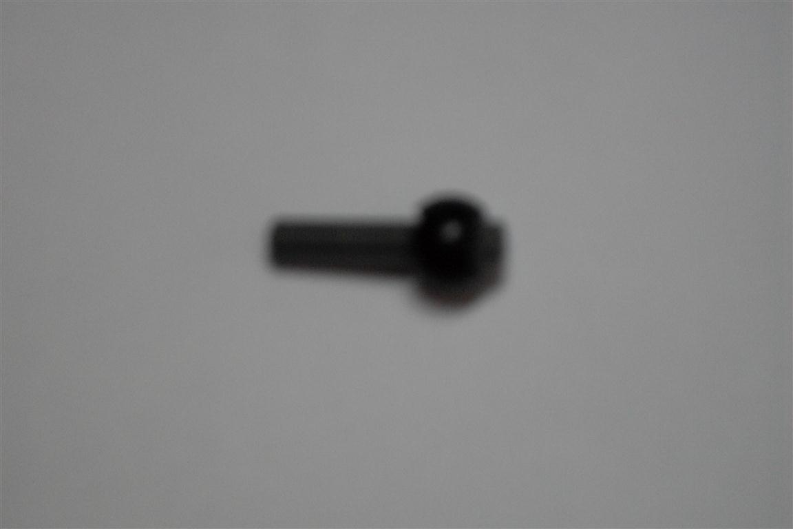 sdc11734.jpg