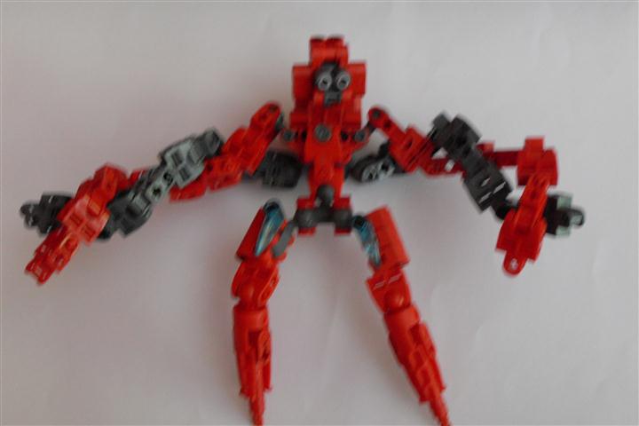 sdc11558.jpg
