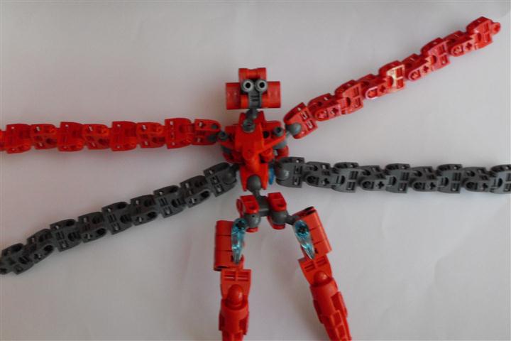 sdc11560.jpg