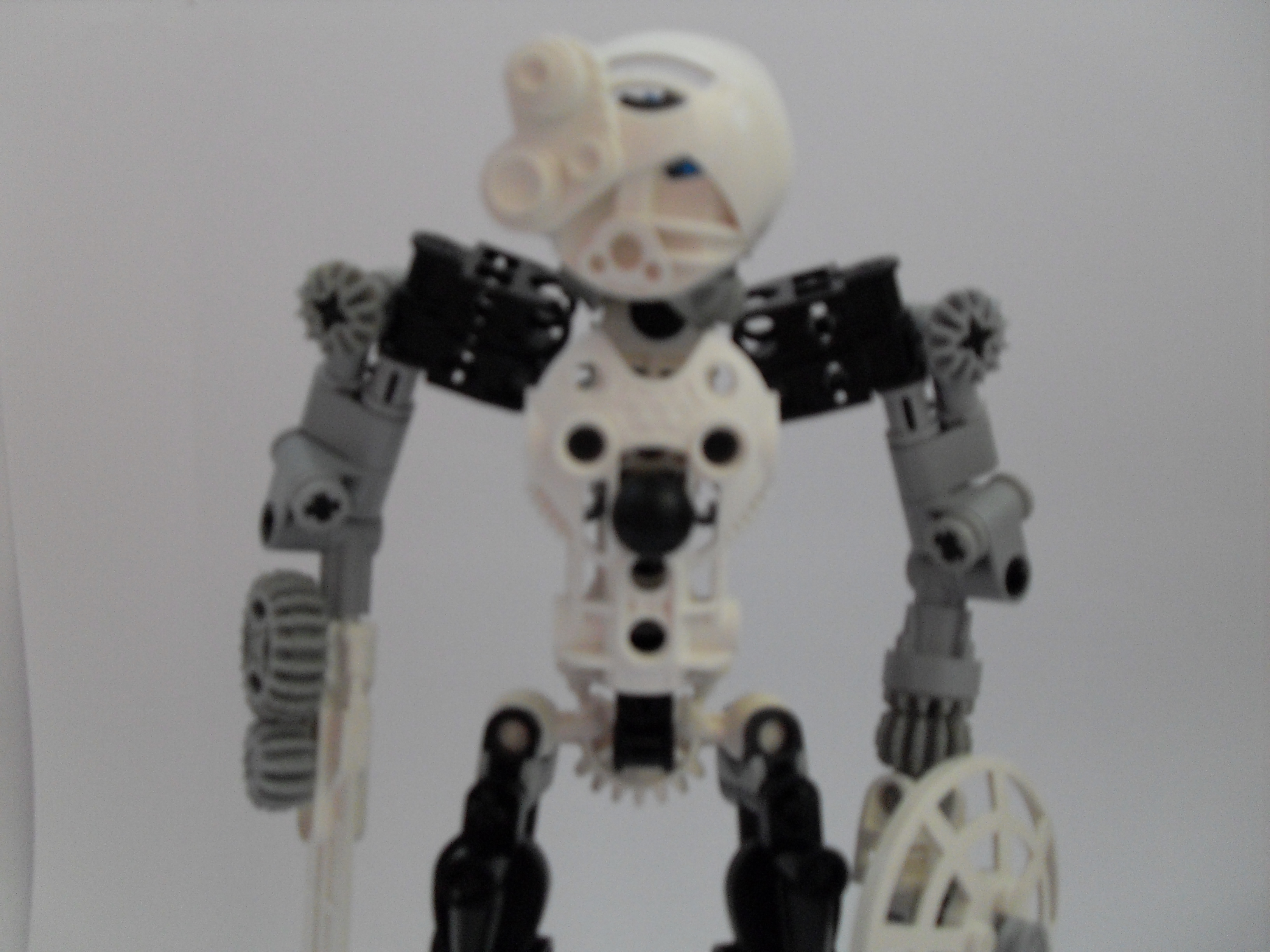 sdc10503.jpg