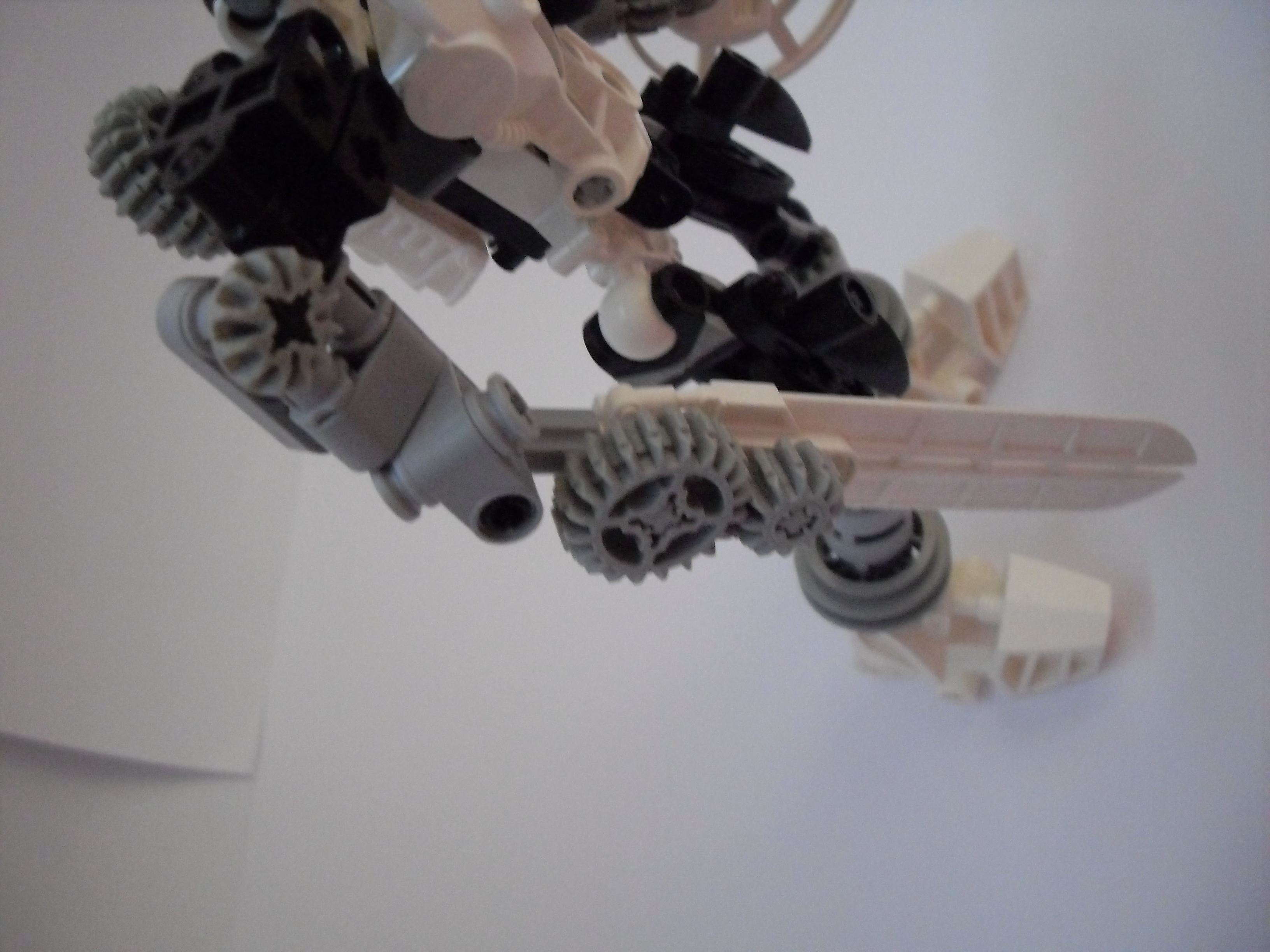 sdc10513.jpg