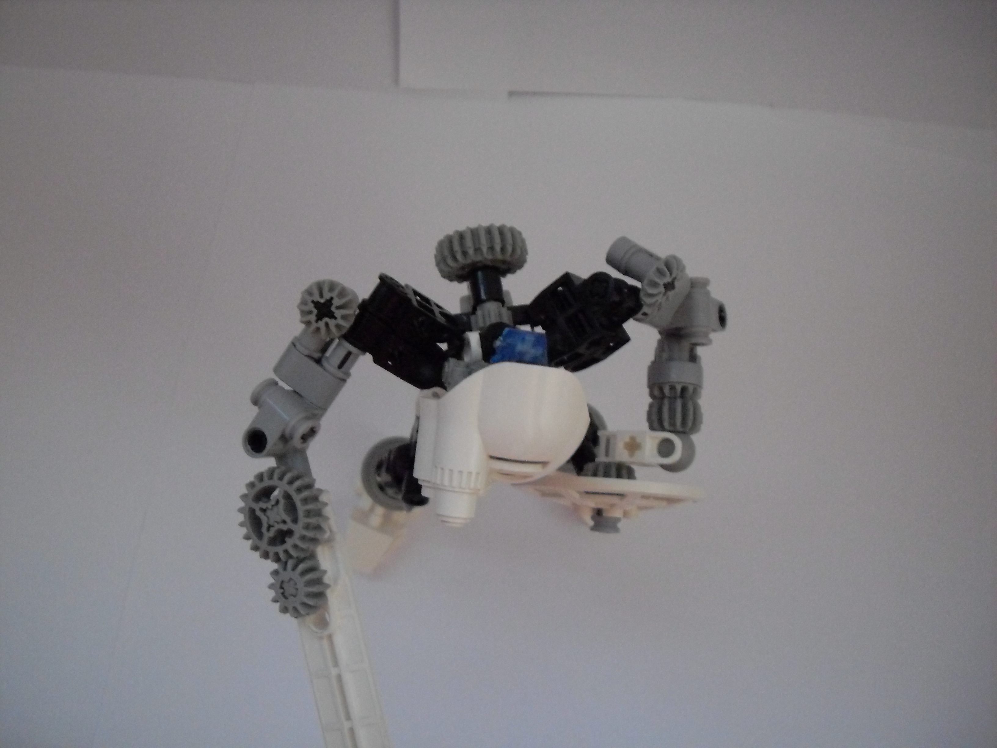 sdc10523.jpg