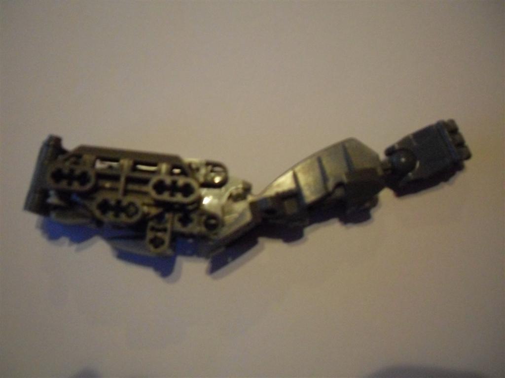 sdc10893.jpg