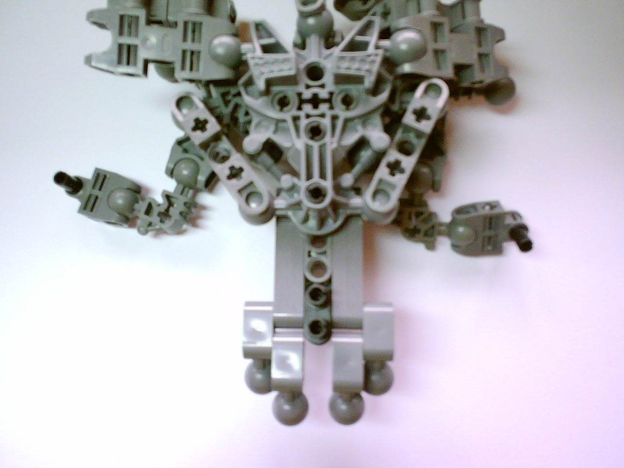 dsc01184.jpg