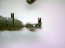 dsc01172.jpg