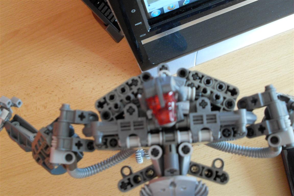 sdc11538.jpg