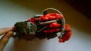dsc00292.jpg