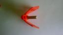 dsc01750.jpg