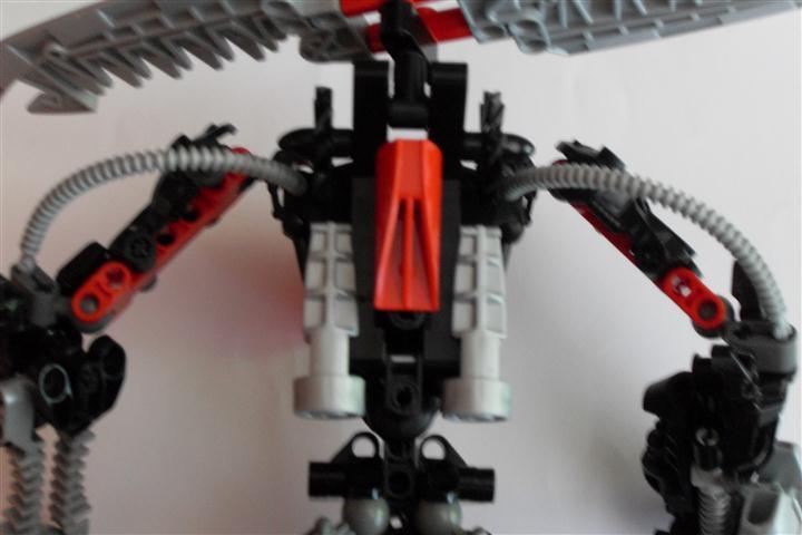 sdc11554.jpg