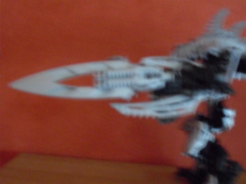sdc12188.jpg