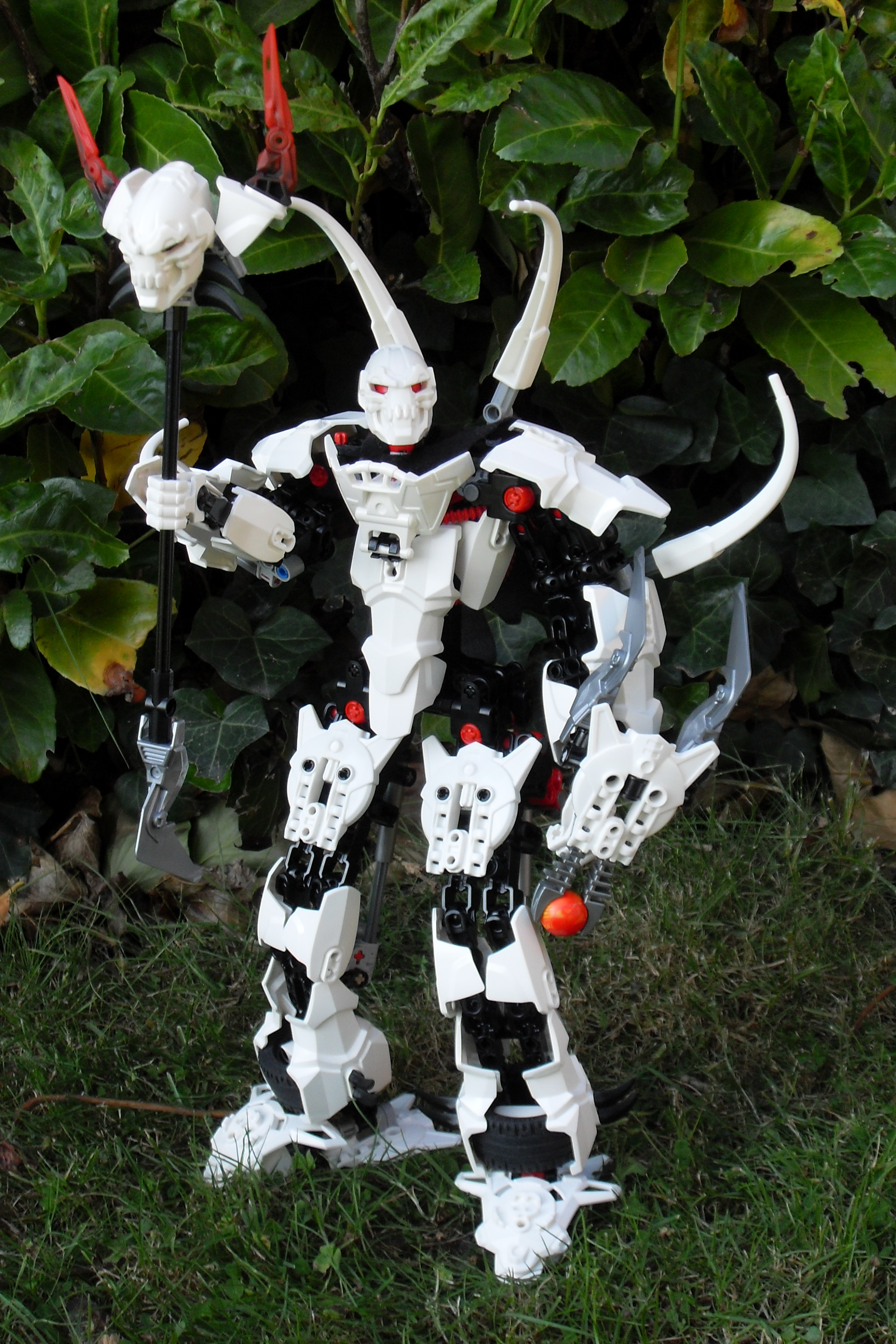 sdc13269.jpg