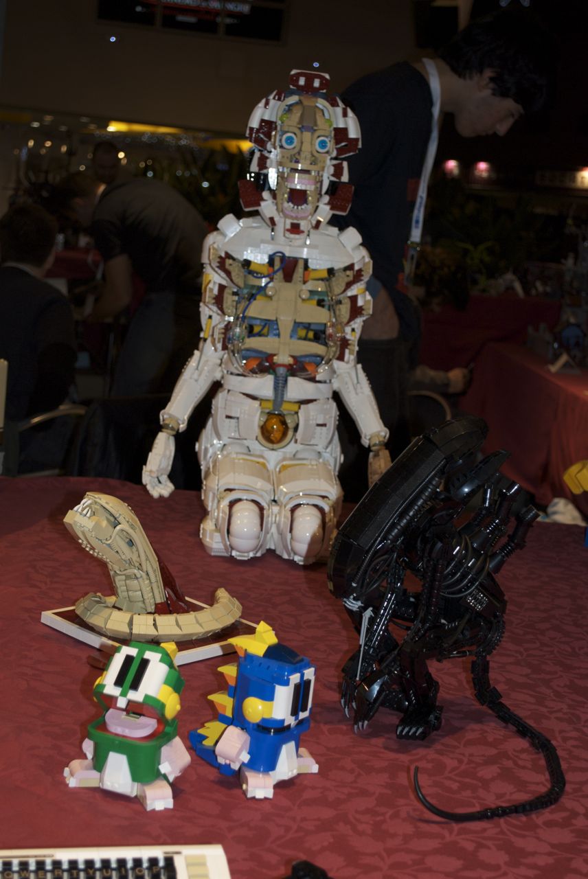dsc_1010.jpg