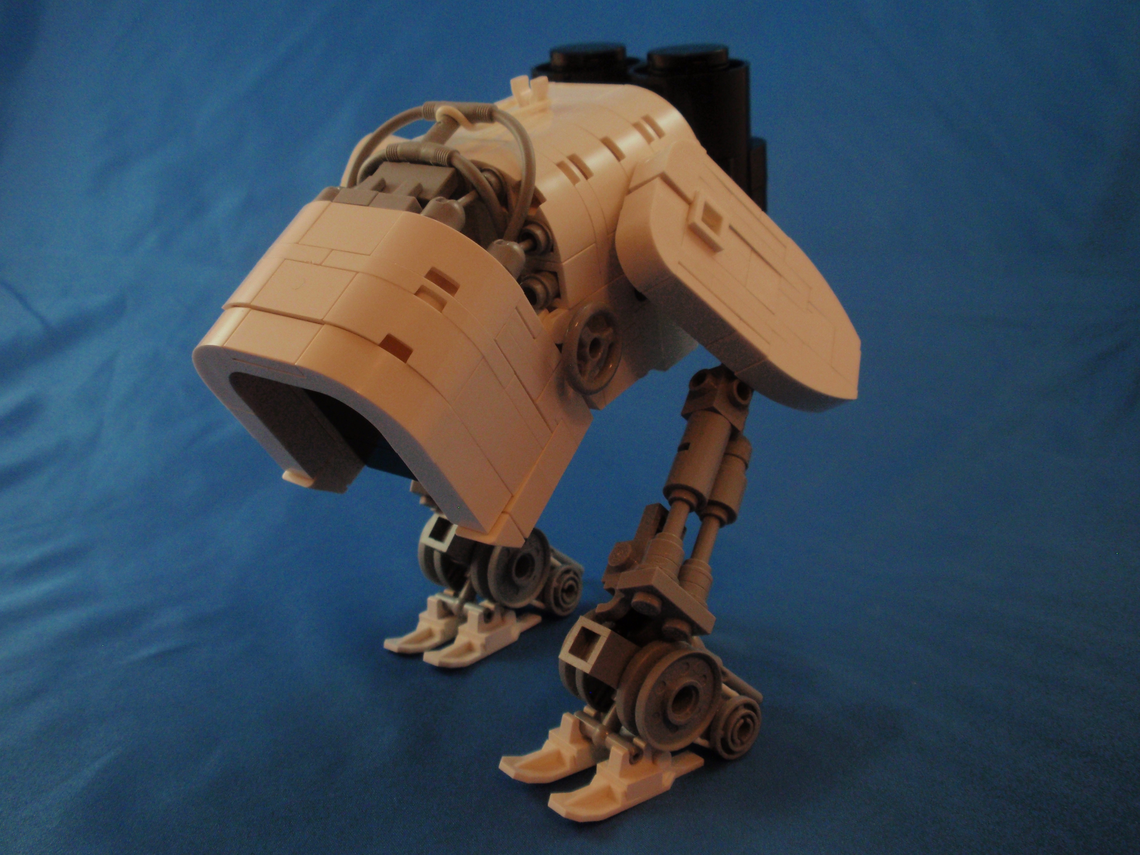 pc210143.jpg