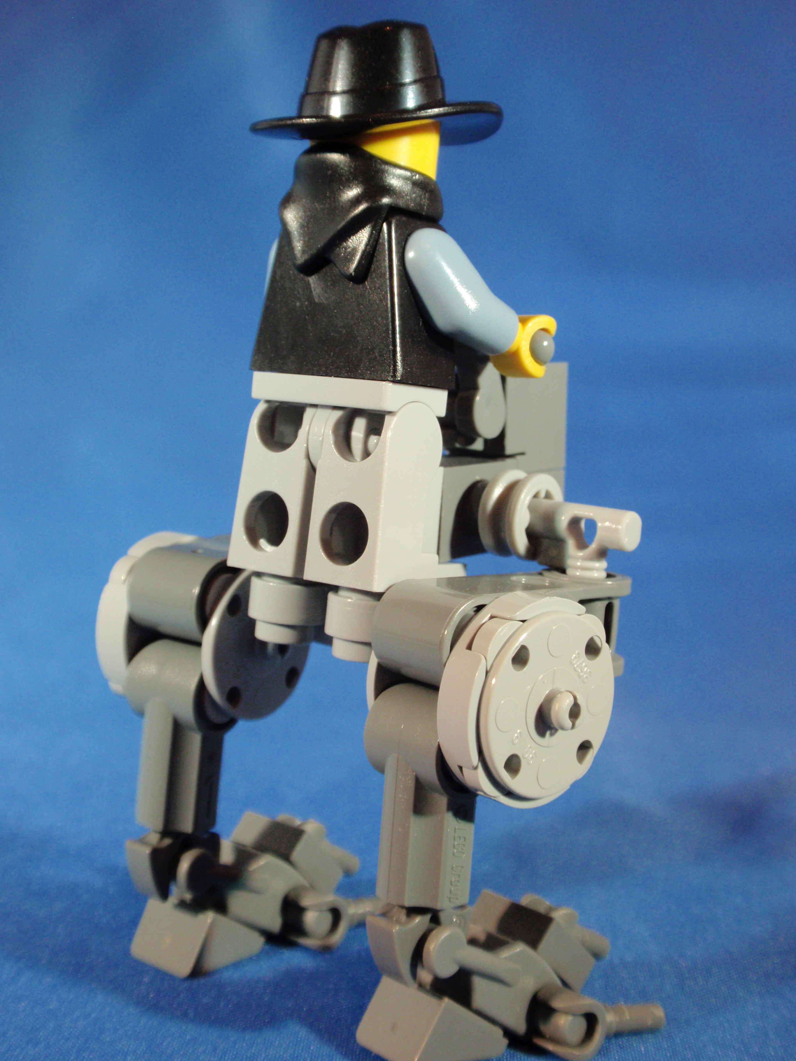 walker_back.jpg